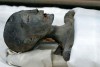 اخبار حوادث | کشف بقایای چهار هزار جسد در چاه | جسد های دوره ی استعمار الجزایر